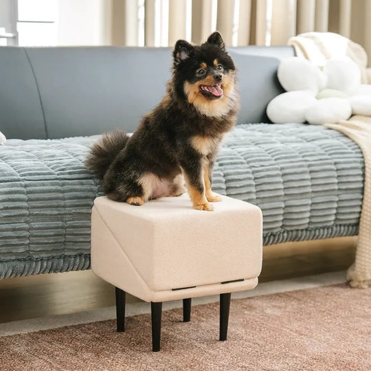 2-in-1 Convertible Dog Ramp and Step Stool