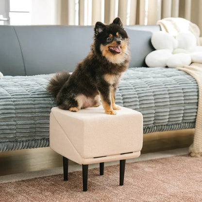 2-in-1 Convertible Dog Ramp and Step Stool